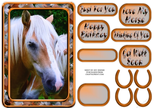 JJ LOVE MY HORSE A5 QUICK CARD 4