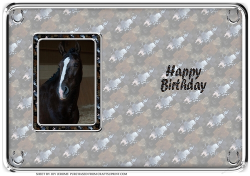 JJ LOVE MY HORSE A5 QUICK CARD 2 INSERT HAPPY BIRTHDAY