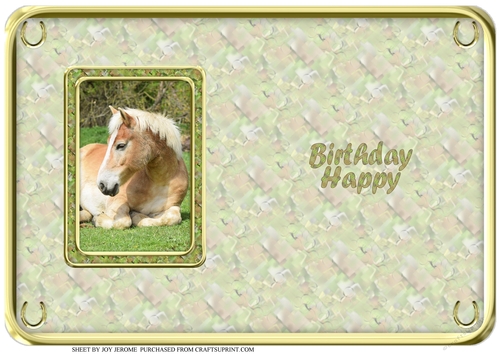 JJ LOVE MY HORSE A5 QUICK CARD 1 INSERT HAPPY BIRTHDAY