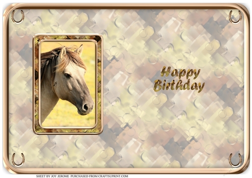 JJ LOVE MY HORSE A5 QUICK CARD 3 INSERT HAPPY BIRTHDAY