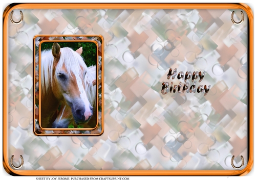 J LOVE MY HORSE A5 QUICK CARD 4 INSERT HAPPY BIRTHDAY