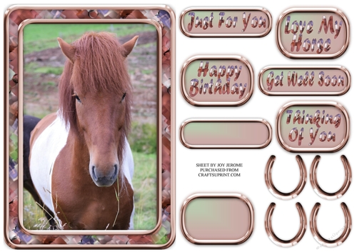 JJ LOVE MY HORSE A5 QUICK CARD 5