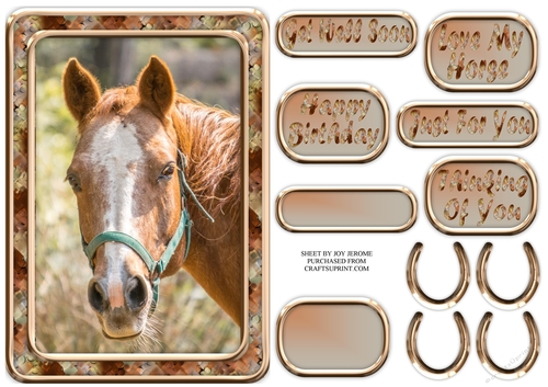 JJ LOVE MY HORSE A5 QUICK CARD 6