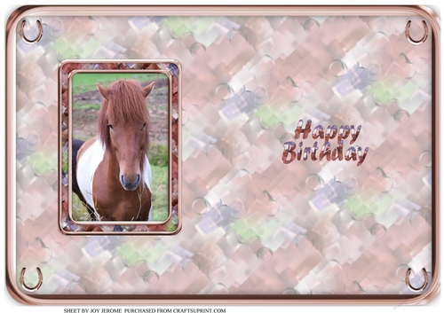 JJ LOVE MY HORSE A5 QUICK CARD 5 INSERT HAPPY BIRTHDAY