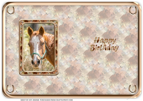 JJ LOVE MY HORSE A5 QUICK CARD 6 INSERT HAPPY BIRTHDAY