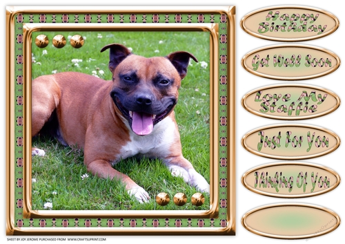 JJ LOVE MY DOG STAFFORDSHIRE BULL TERRIER OR STAFFIE 8X8