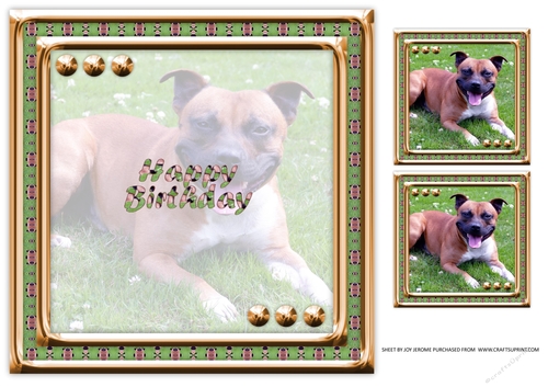 JJ LOVE MY DOG STAFFORDSHIRE BULL TERRIER OR STAFFIE 8X8 INSERT HAPPY BIRTHDAY