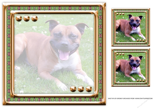 JJ LOVE MY DOG STAFFORDSHIRE BULL TERRIER OR STAFFIE 8X8 INSERT BLANK