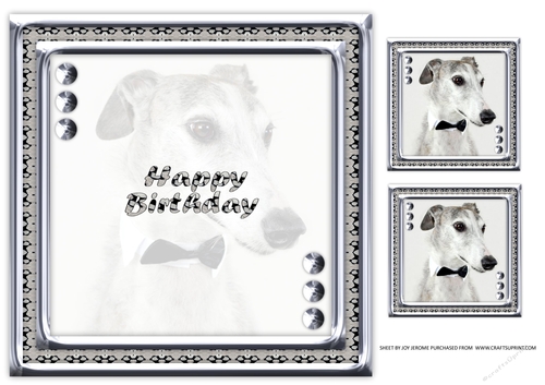 JJ LOVE MY DOG GREYHOUND 8X8 INSERT HAPPY BIRTHDAY