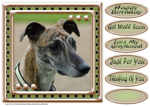  JJ LOVE MY DOG GREYHOUND 2 8X8