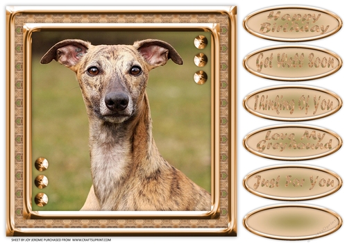 JJ LOVE MY DOG GREYHOUND 3 8X8