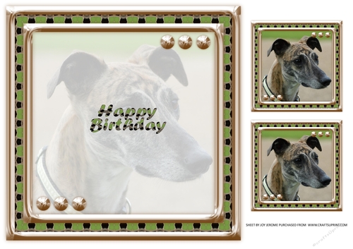 JJ LOVE MY DOG GREYHOUND 2 8X8 INSERT HAPPY BIRTHDAY