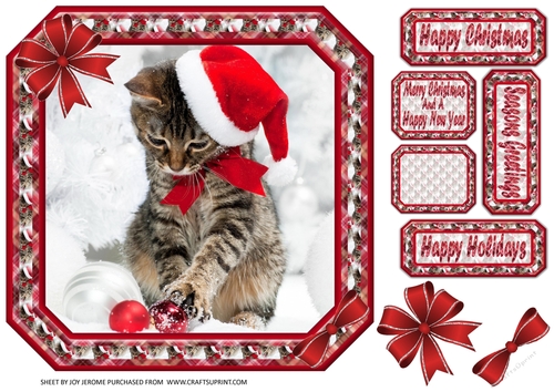 JJ PETS LOVE CHRISTMAS TOO CUTE CAT 8X8