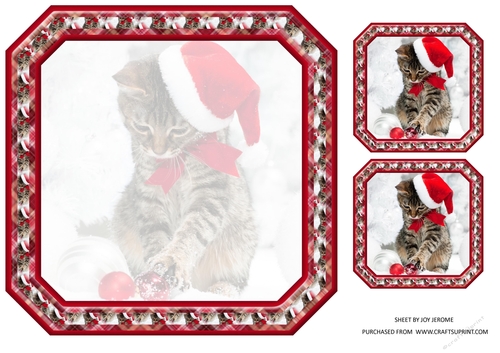  JJ PETS LOVE CHRISTMAS TOO CUTE CAT 8X8 INSERT BLANK