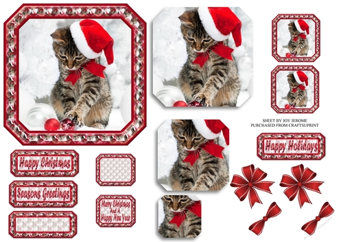 JJ PETS LOVE CHRISTMAS TOO CUTE CAT 5X5 PYRAMAGE