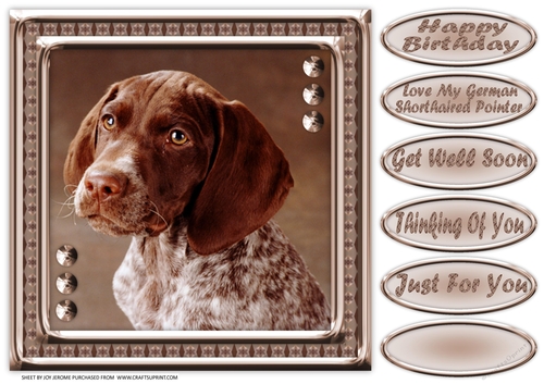 JJ LOVE MY DOG GERMAN SHORTHAIRED POINTER 1 8X8
