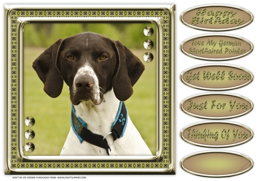JJ LOVE MY DOG GERMAN SHORTHAIRED POINTER 2 8X8
