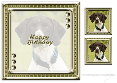 JJ LOVE MY DOG GERMAN SHORTHAIRED POINTER 2 8X8 INSERT HAPPY BIRTHDAY