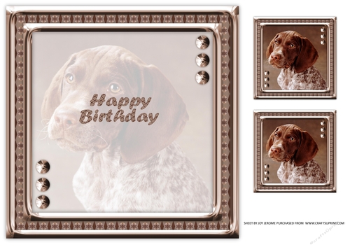 JJ LOVE MY DOG GERMAN SHORTHAIRED POINTER 1 8X8 INSERT BLANK