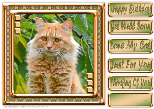 JJ LOVE MY CAT 19 8X8