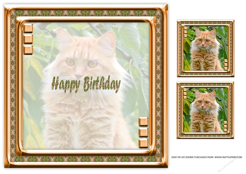 JJ LOVE MY CAT 19 8X8 INSERT HAPPY BIRTHDAY