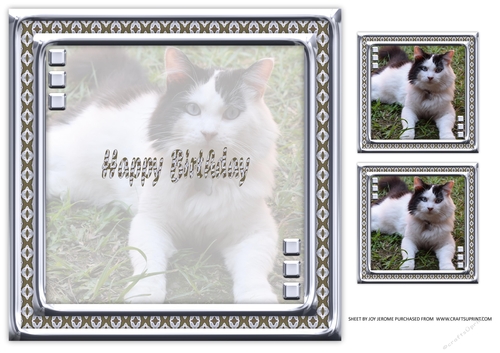  JJ LOVE MY CAT 20 8X8 INSERT HAPPY BIRTHDAY