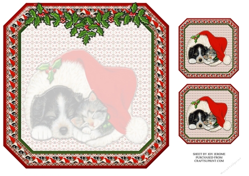  JJ PETS LOVE CHRISTMAS TOO SLEEPY CAT AND DOG 8X8 INSERT BLANK