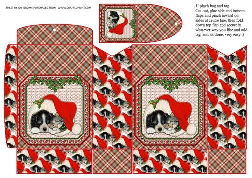 JJ PETS LOVE CHRISTMAS TOO SLEEPY CAT AND DOG PINCHBAG AND TAG