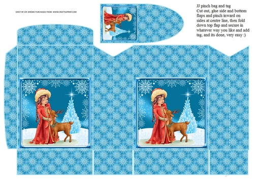 JJ CHRISTMAS STARRY SNOWY NIGHT PINCHBAG AND TAG