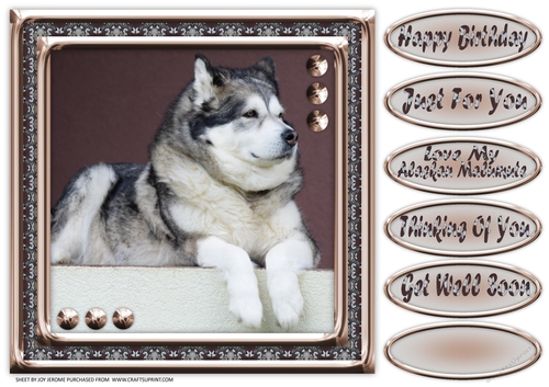 JJ LOVE MY ALASKAN MALAMUTE 8X8 1