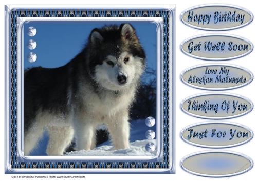 JJ LOVE MY ALASKAN MALAMUTE 8X8 2