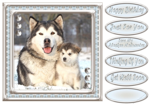JJ LOVE MY ALASKAN MALAMUTES 8X8