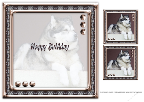 JJ LOVE MY ALASKAN MALAMUTE 8X8 1 INSERT HAPPY BIRTHDAY.
