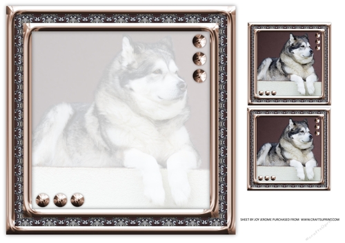 JJ LOVE MY ALASKAN MALAMUTE 8X8 1 INSERT BLANK