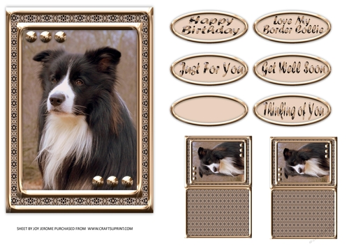 JJ LOVE MY DOG BORDER COLLIE 5X7