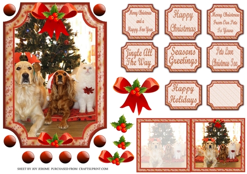 JJ PETS LOVE CHRISTMAS TOO 5X7