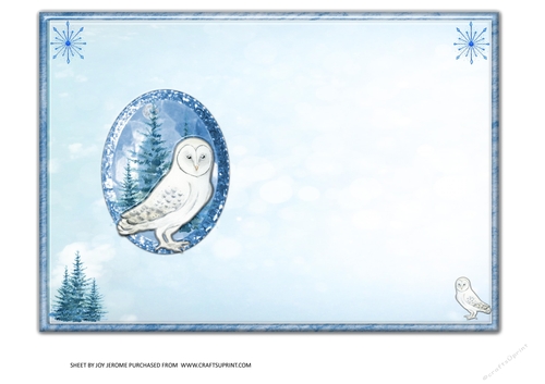 JJ WINTER WHITE OWL BIRTHDAY OR CHRISTMAS 5X7