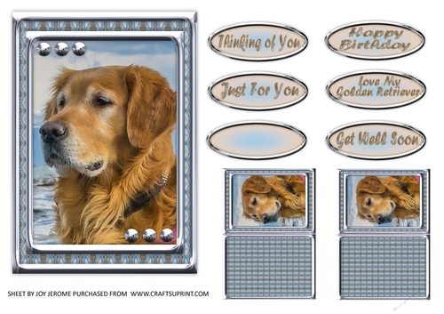 JJ LOVE MY DOG GOLDEN RETRIEVER 5x7