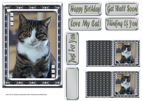 JJ LOVE MY CAT 5 5X7
