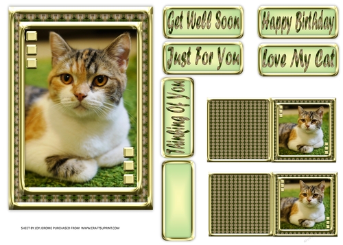 JJ LOVE MY CAT 15 5X7