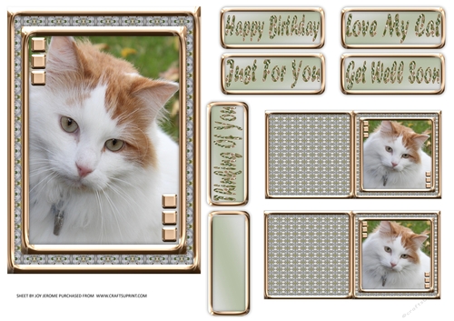  JJ LOVE MY CAT 1 5X7