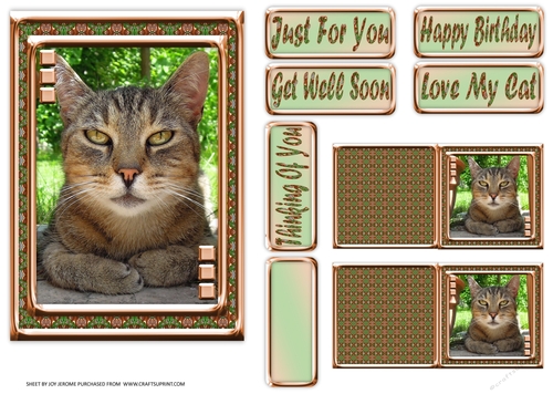 JJ LOVE MY CAT 2 5X7