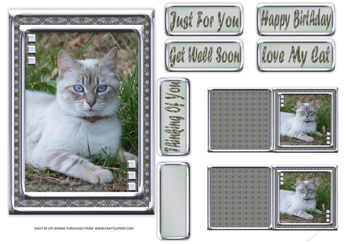  JJ LOVE MY CAT 4 5X7