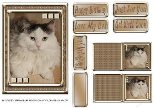  JJ LOVE MY CAT 6 5X7
