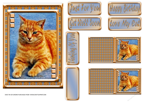  JJ LOVE MY CAT 7 5X7