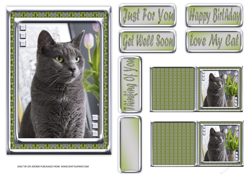  JJ LOVE MY CAT 11 5X7