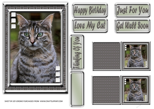  JJ LOVE MY CAT 9 5X7