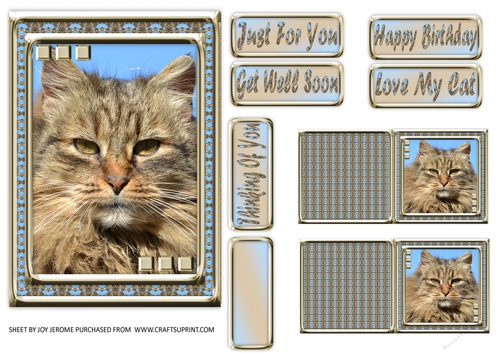  JJ LOVE MY CAT 10 5X7