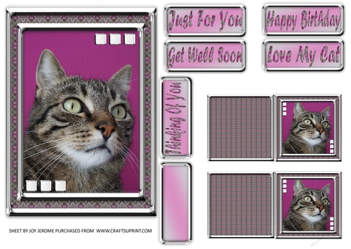 JJ LOVE MY CAT 12 5X7