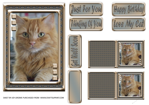 JJ LOVE MY CAT 13 5X7